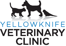 Yellowknife Veterinary Clinic